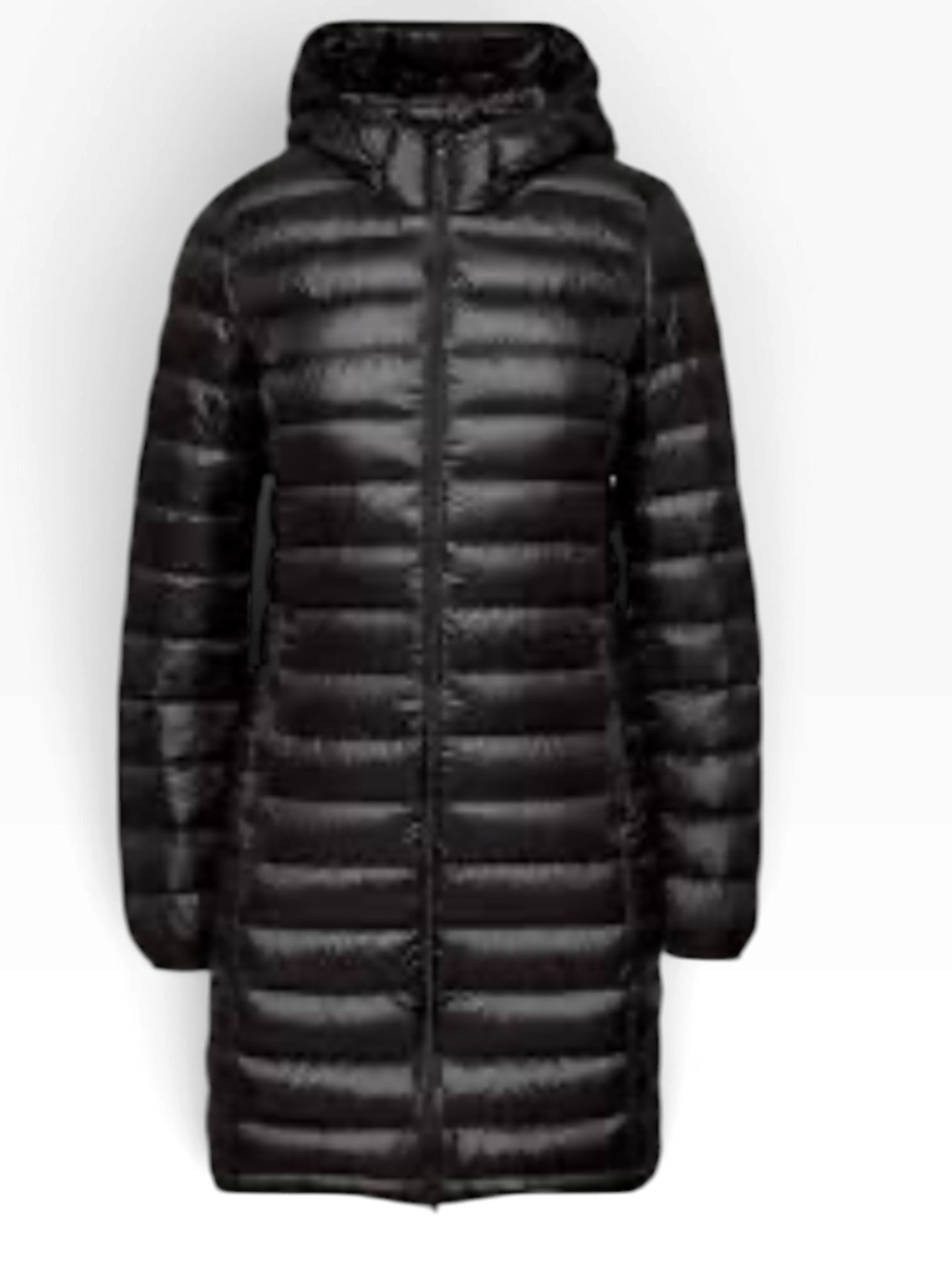 Botanie Long Down Puffer from Aritzia